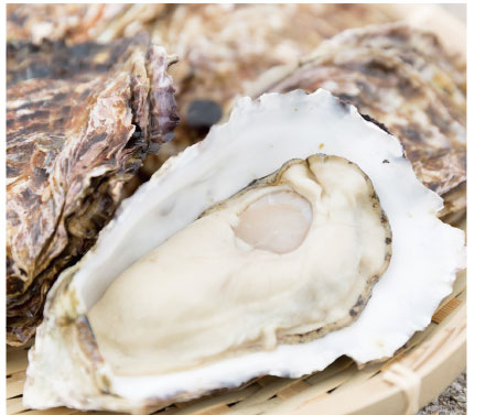 沖元水産 | 広島県呉市の安心・安全な牡蠣の養殖・販売